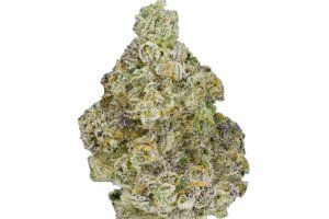 Mediprocan Lunaris 25/1